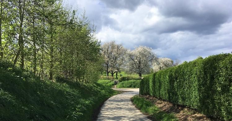 Pelgrimeren © Luc Herbots