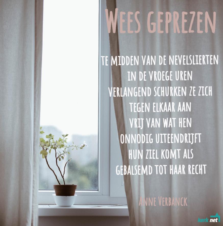 Franciscus' Zonnelied in de blender, door Anne Verbanck. © Kerknet Franciscus' Zonnelied in de blender, door Anne Verbanck. © Kerknet