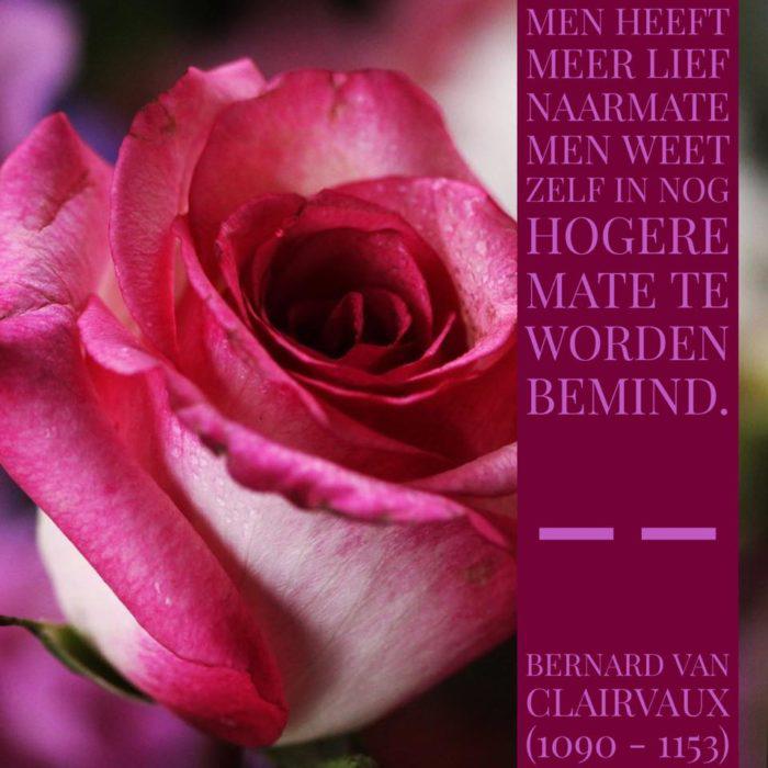Bernardus over de liefde 