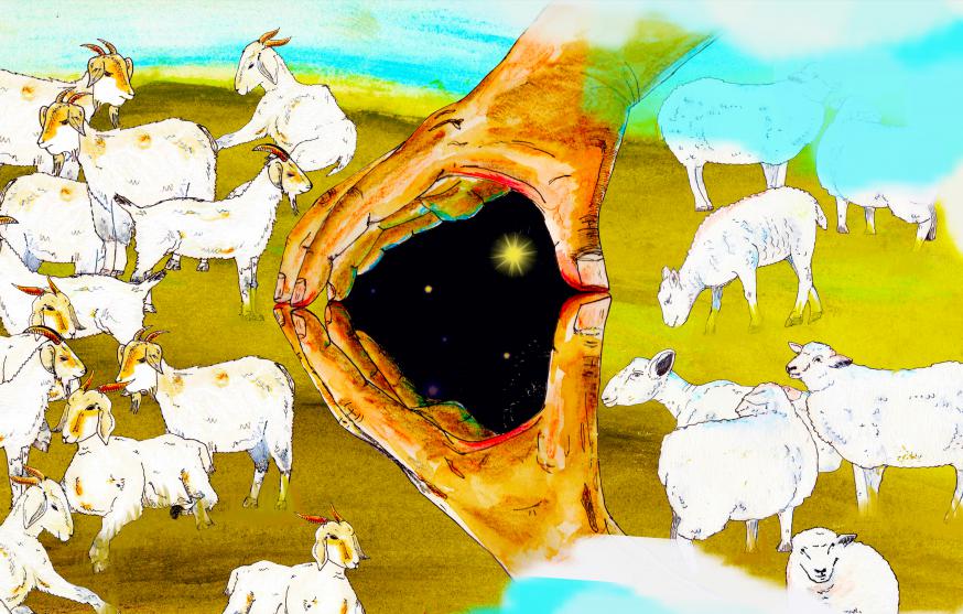 De dag van het laatste oordeel is een dag van onderscheiding. Met een Bijbels beeld: schapen en bokken worden gescheiden. Alleen Gods oordeel is volkomen rechtvaardig en definitief. © Tynke van Schaik