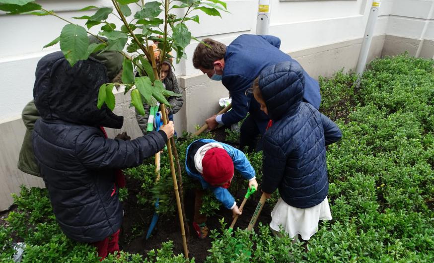 Bisschop Lode plant een Laudato Si'-boom © Michiel Van Mulders