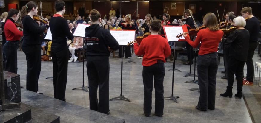 Strijkorkest Bowgiorno © Marjo Perry