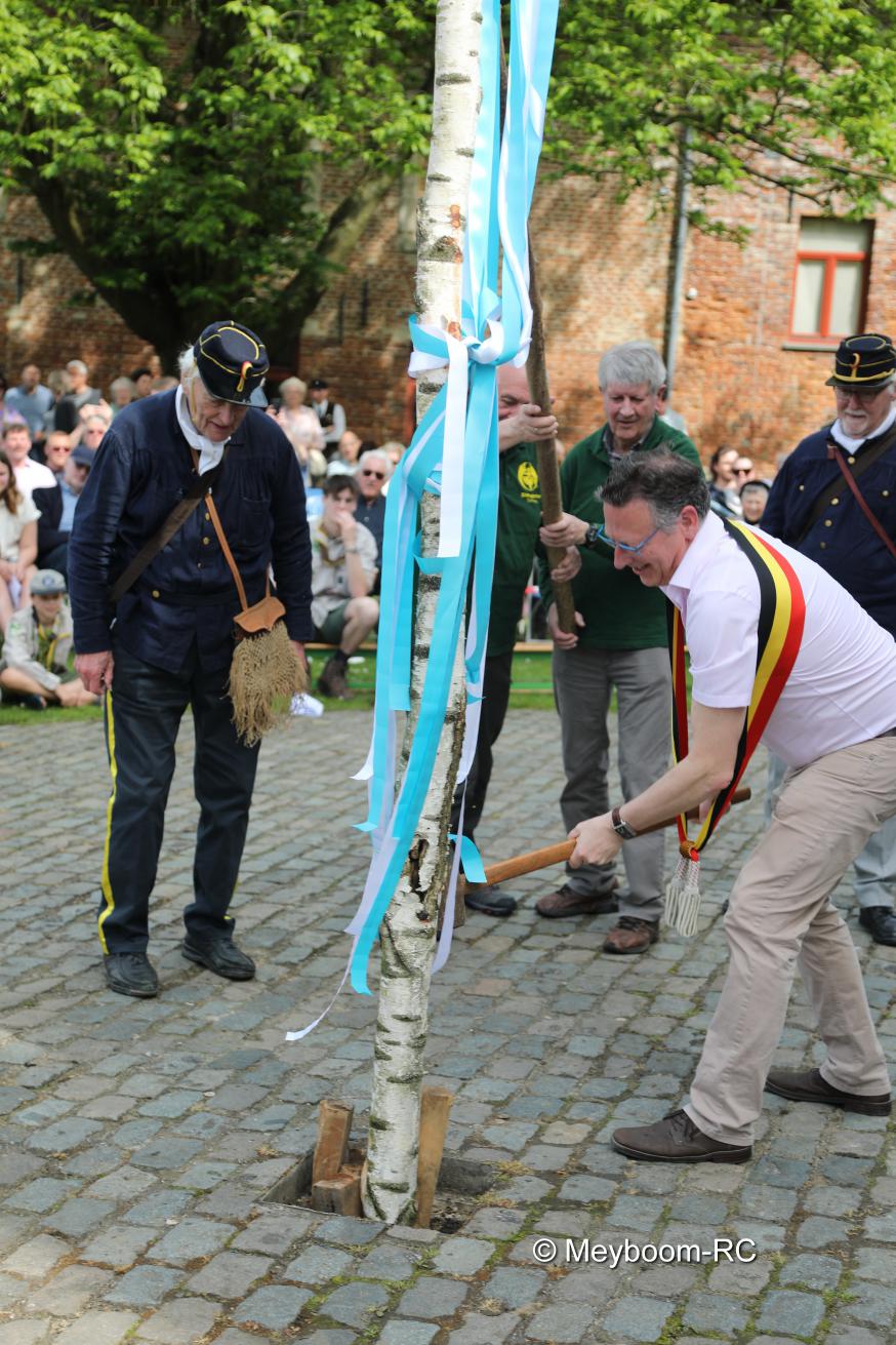 Meiboomplanting © Brusselse Gezellen van Sint-Laurentius : “Meyboom-RC”. 