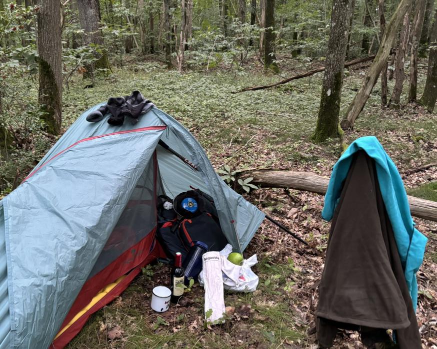 Kamperen in het bos 