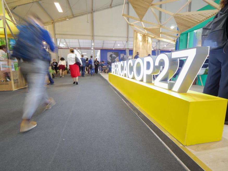 COP 27 © Valter Hugo Muniz/WCC