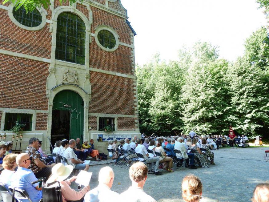 Openluchtmis 