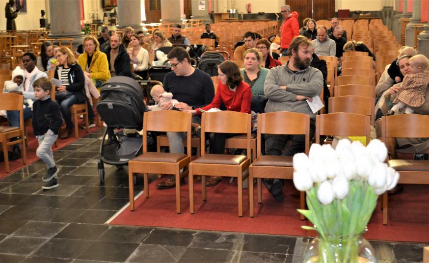 Lichtmis Stekene 2023-8 