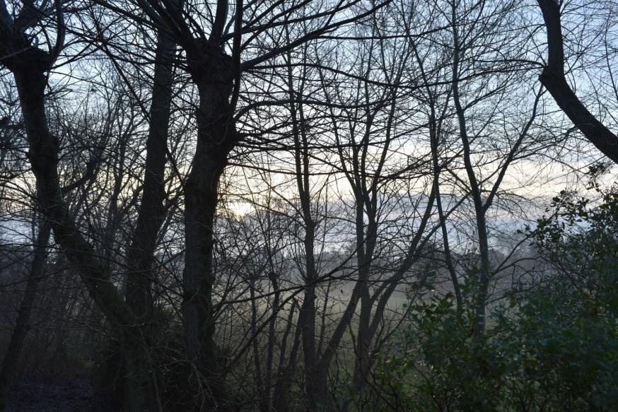 Mijn zoeken om jullie en mezelf te bemoedigen in deze uitdagende tijden. 