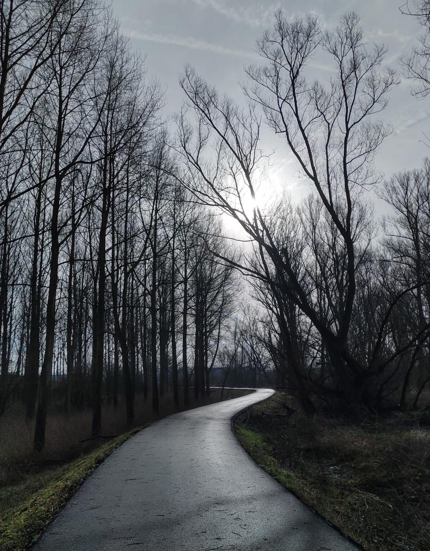 Metafoor van de weg © Babs Mertens