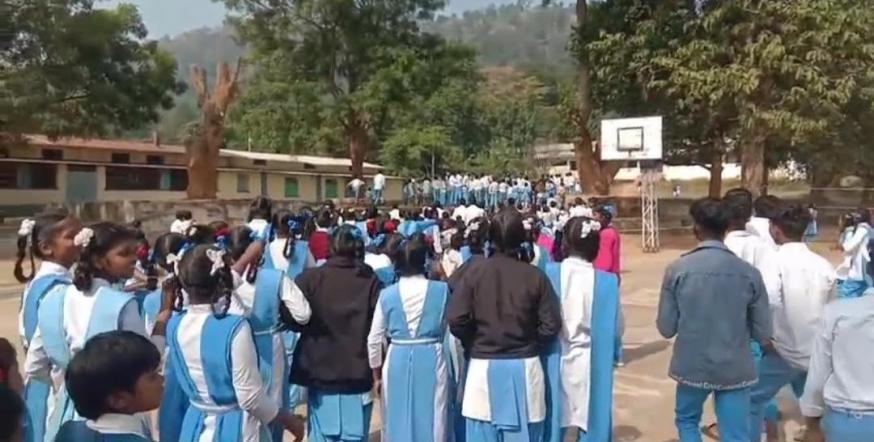 Dhanwar, de menigte studenten die olifanten verdrijft 