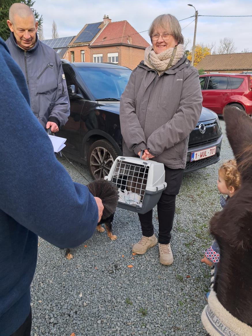 Dierenwijding 2024 