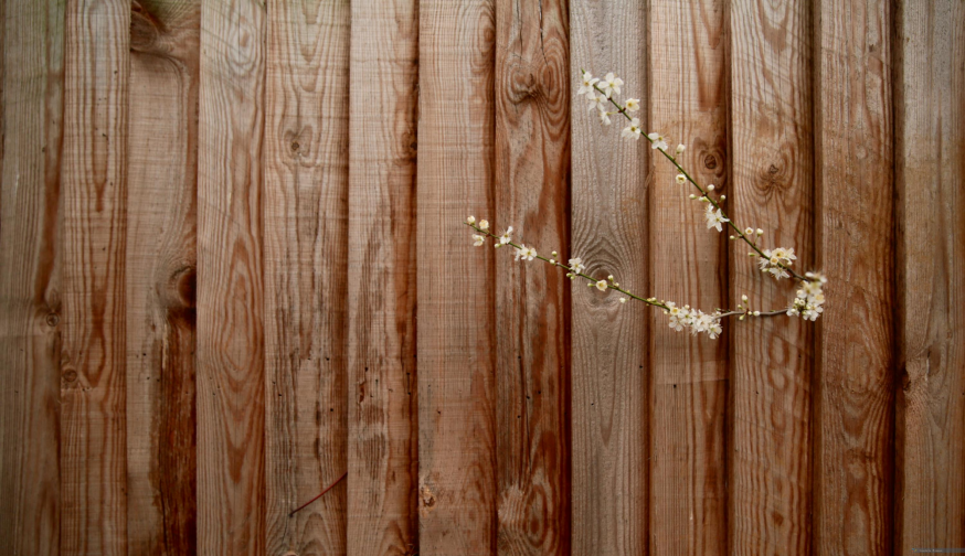 Doorbroken © Goedele Miseur, Thomas Doorbroken © Goedele Miseur, Thomas