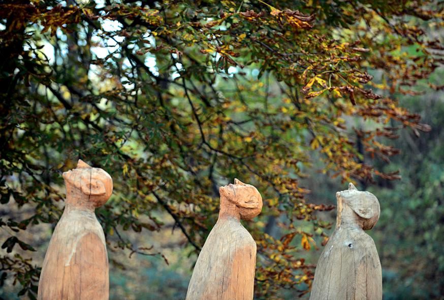 De blik naar de hemel gericht © picture-alliance (Image)