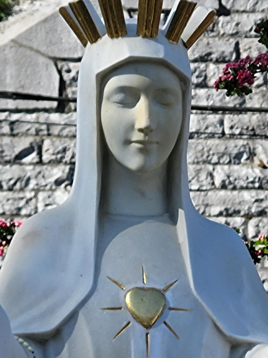 De Dame met het Gouden Hart 