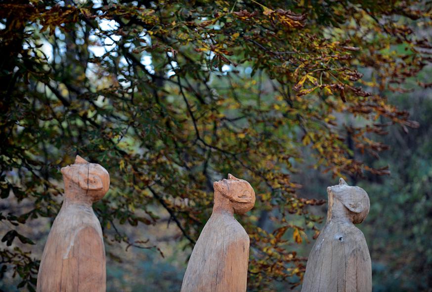 De blik naar de hemel gericht © Foto: picture-alliance (Image)
