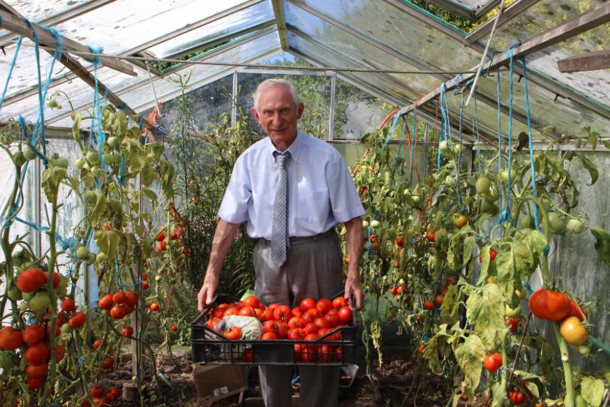Meester Dion met zijn oogst tomaten. 