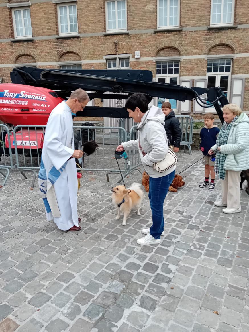honden 