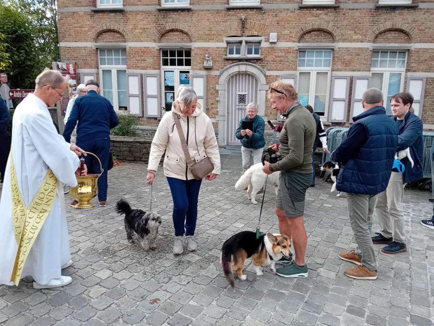 dierenzegen 