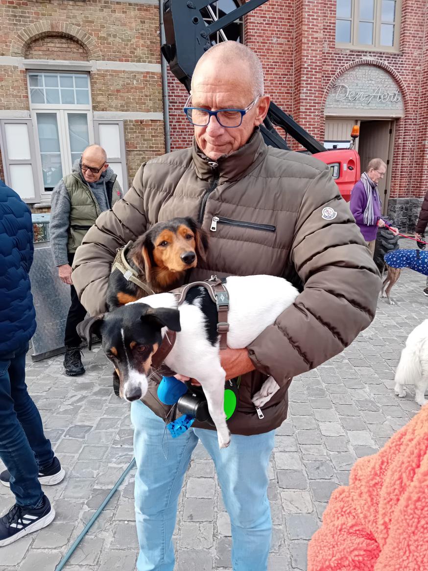 dierenzegening 