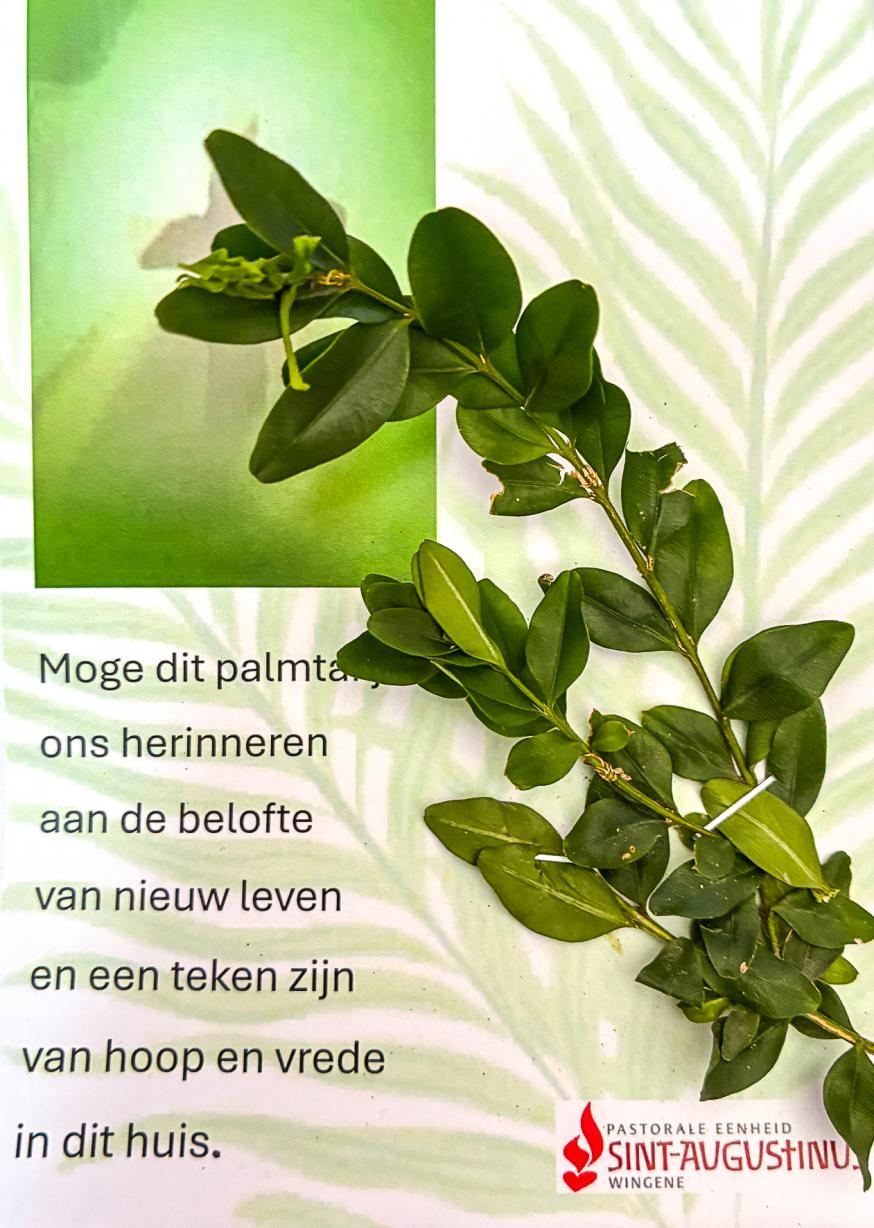 palmtak 