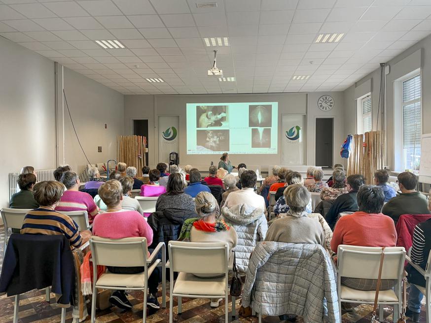 Ferm lezing 