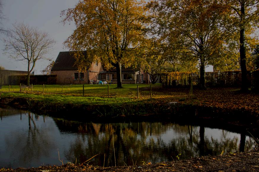 Vijver bij Bea 