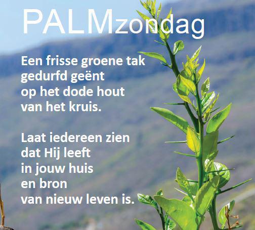 Palmzondag en het palmtakje 