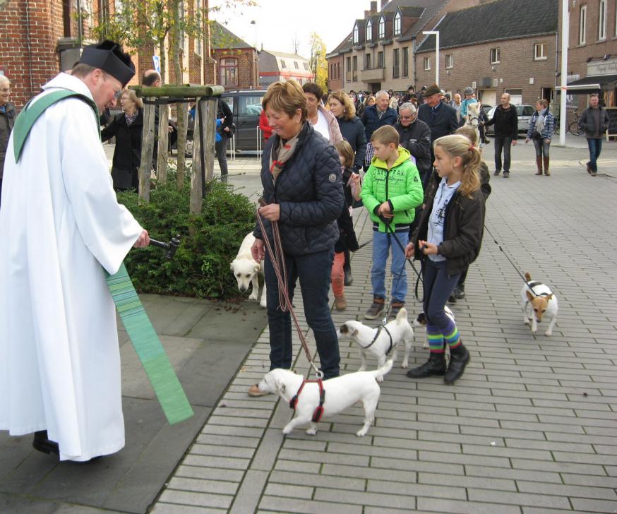 Paarden- en dierenzegening 