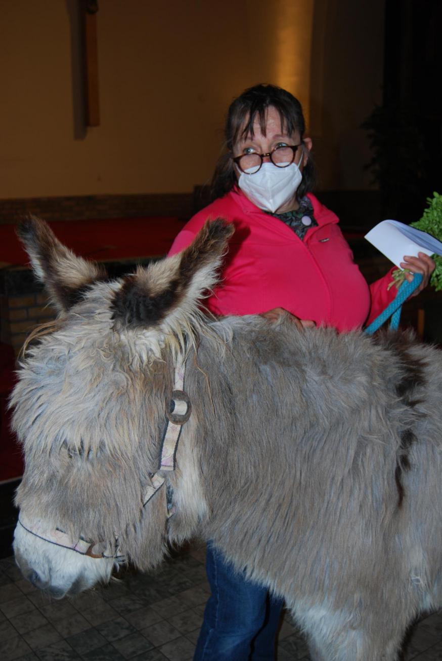 Bijbel was tijdig aanwezig in de kerk om dit nieuwe terrein te verkennen. Samen Jenny Dejagere kwam Bijbel te voet van de Sint-Denijsstraat naar het centrum van Zwevegem. Héél veel dank Jenny om dit te doen!  © Kerk in Zwevegem / Communicatie / Palmzondag 2021