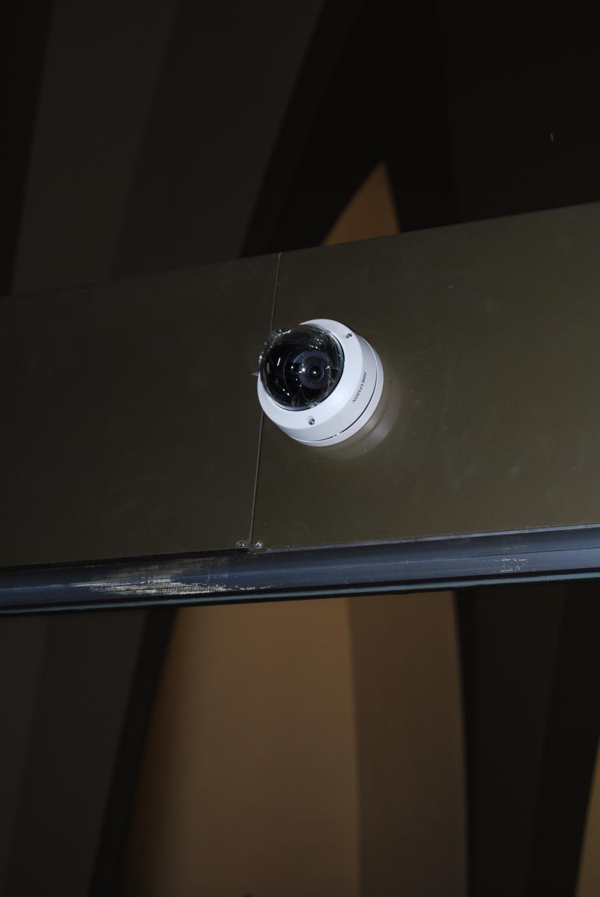 En nog veel meer ogen... © D.D.