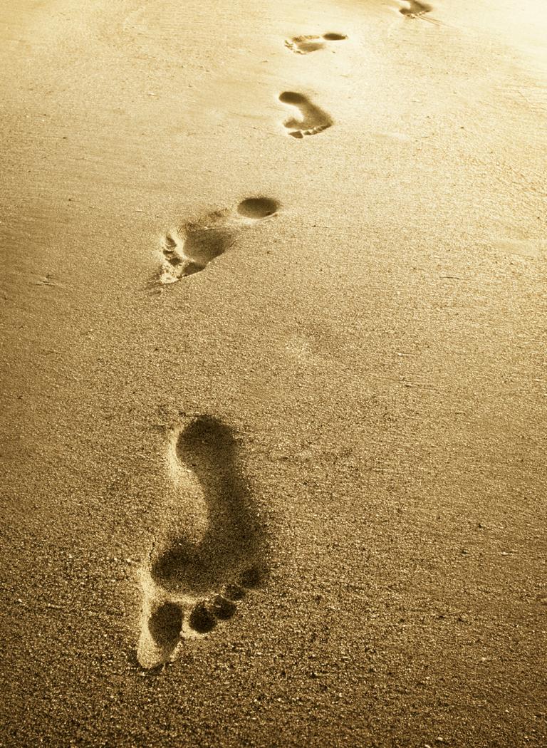 Voetstappen in het zand © skunksintheattick.blogspot.com