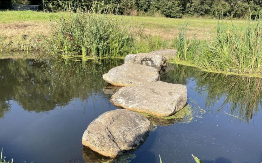 Het vormselsacrament is slechts een ’stapsteen’ in de geloofsgroei, maar een heel belangrijke.  