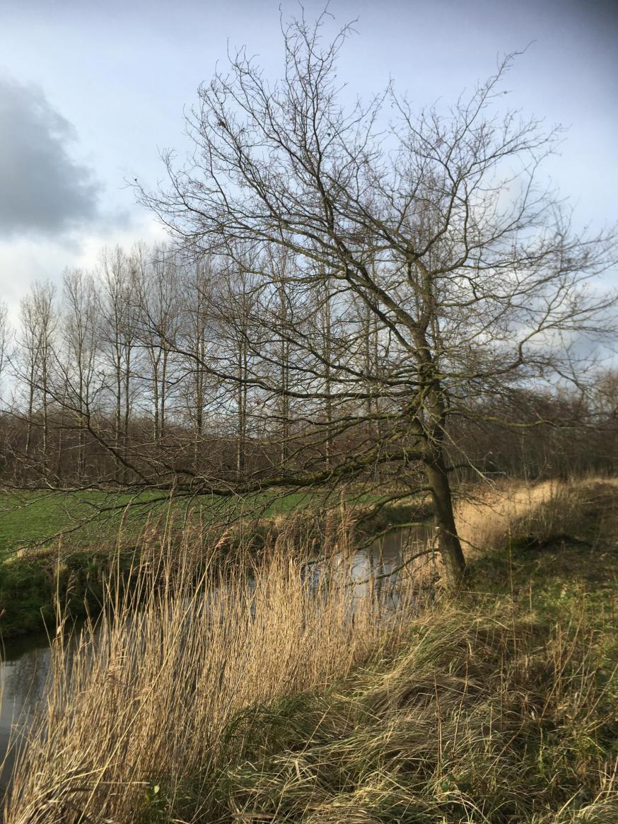 “Keert tot Mij terug” © Daniel Van Nieuwenhuyze