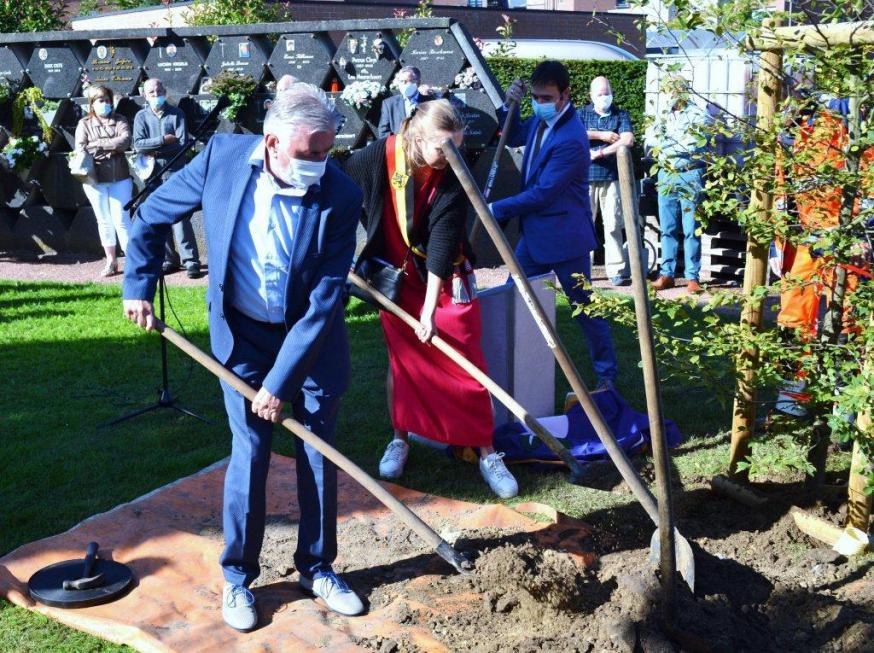 Coronaboom Sint-Gillis-Waas 1 