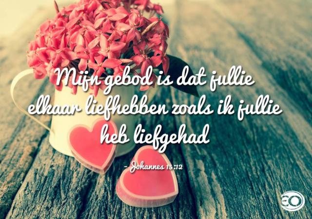 - © federatie Zutendaal