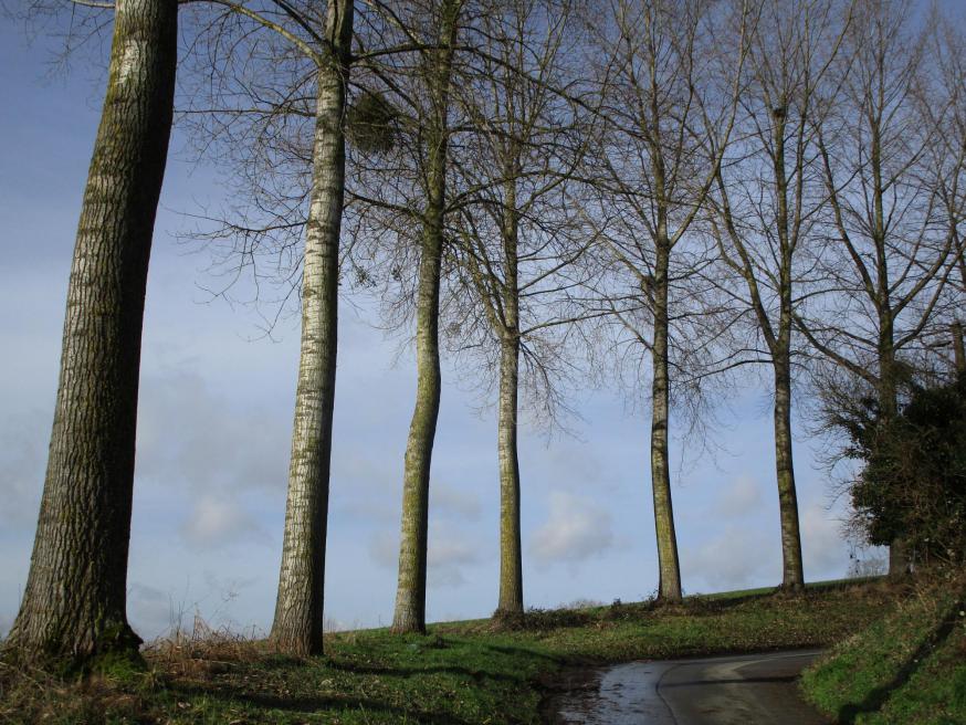 Achter de bocht, voorbij de horizon … het leven gaat verder. Pasen!  © jh