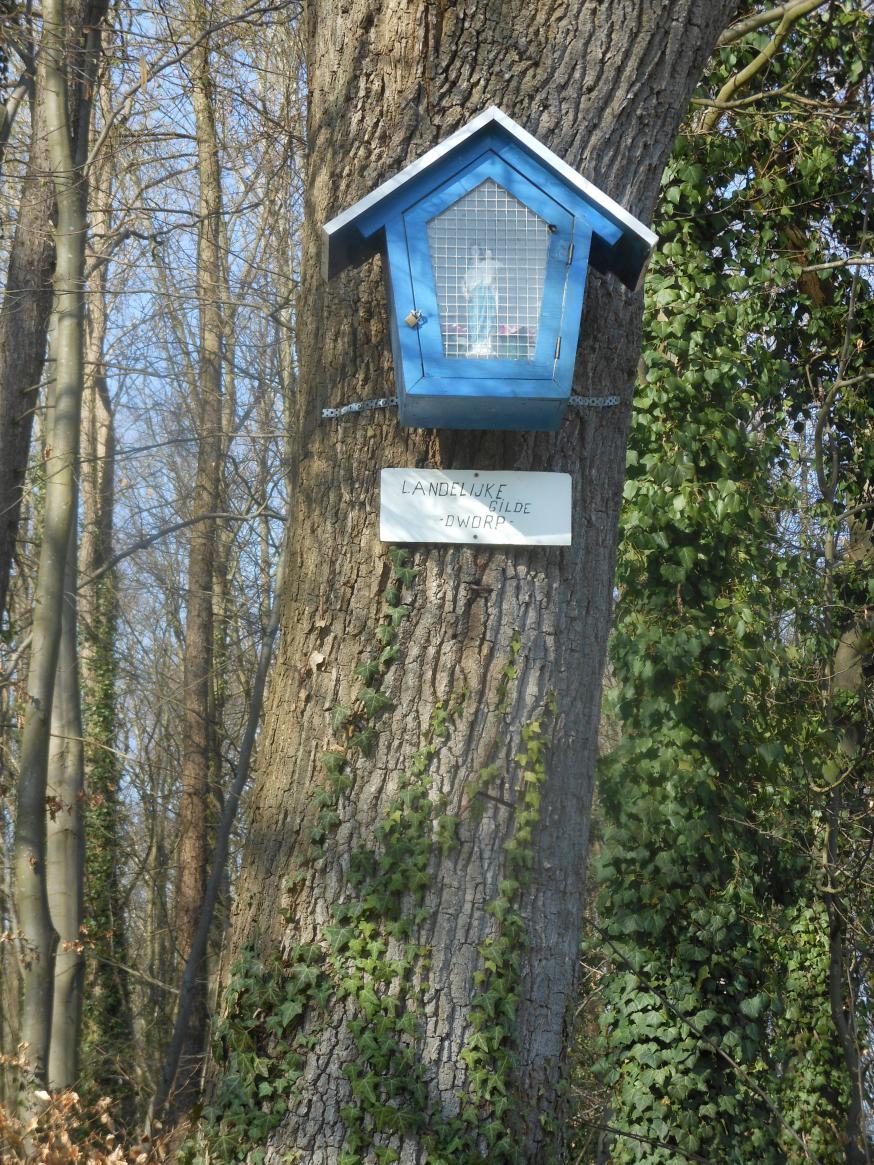 Het boomkapelleke van de Landelijke Gilde in de Haakstraat. 