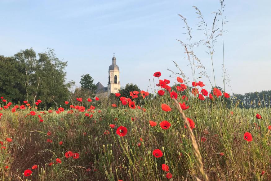 Abdijkerk van Vlierbeek © Pastorale zone Leuven aan de Dijle