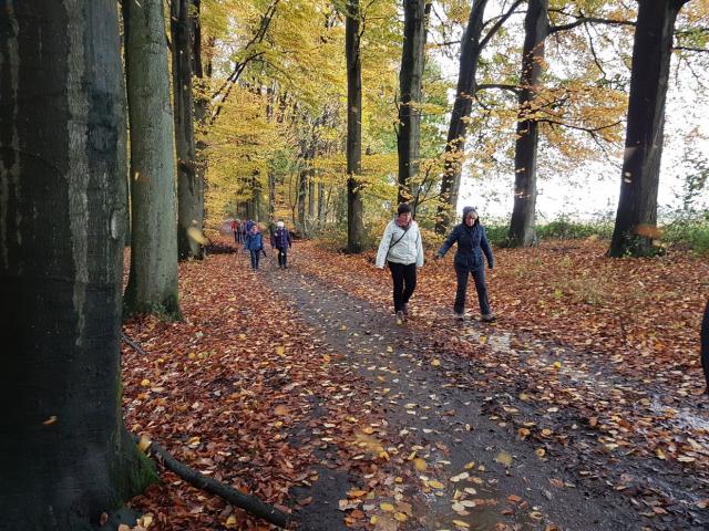 Nú valt er te genieten van de herfst! © KWB-archief 