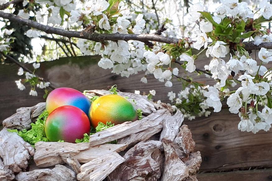 Goed nieuws  © Hilde Claes