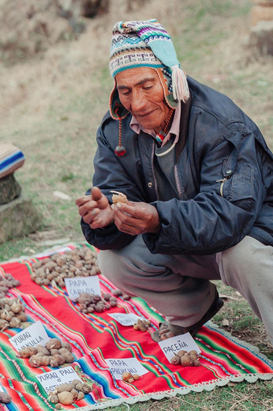 Bolivië © ©MauricioPanozoMontero