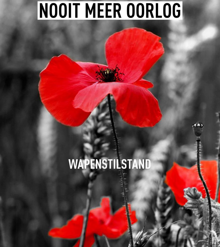 Nooit meer oorlog 