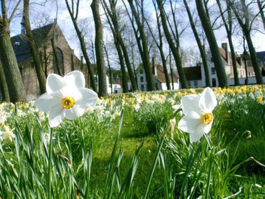 Lente © Inge Cordemans