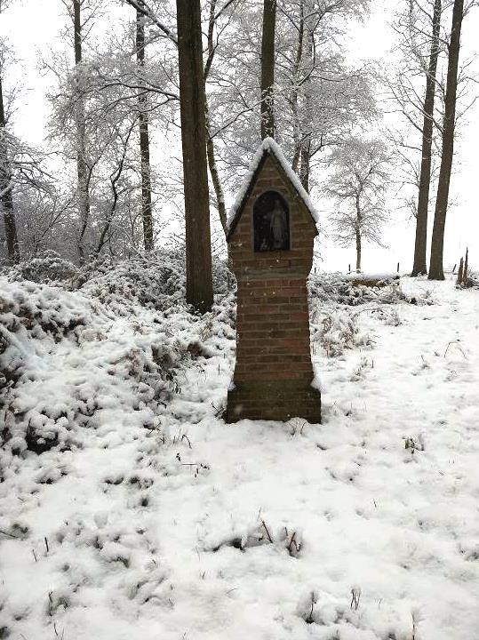 Langs het Trage Weg-wandelpad in Wachtebeke © G. Dierick