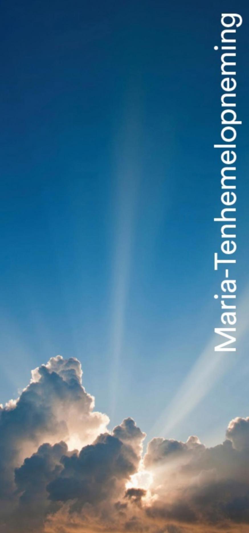 Maria-Tenhemelopneming © otheobooks.be