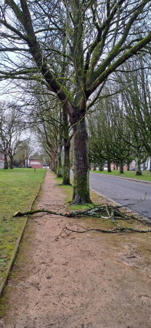 Gebrokenheid © Guido Vandeperre