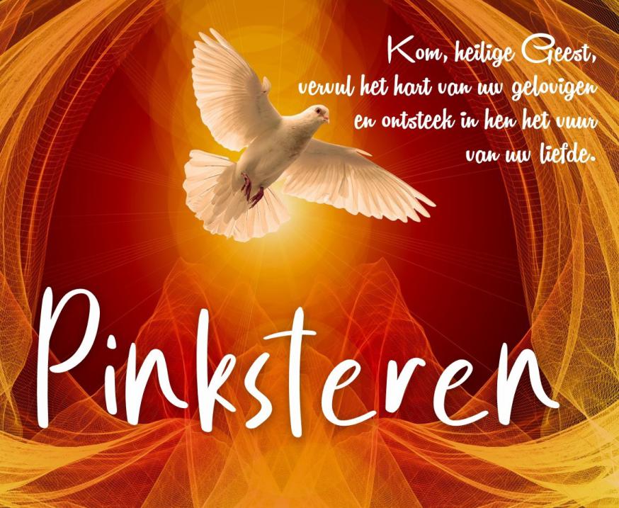 H. Geest 