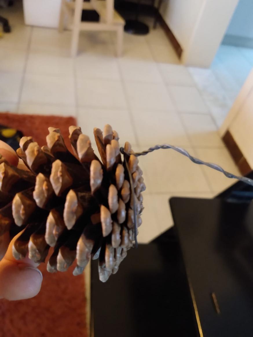 dennenappels vastmaken doe je zo! 
