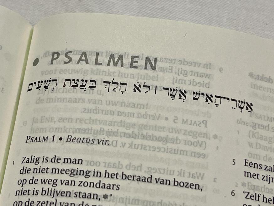Psalmen uit de Bijbel © Chris De Groote
