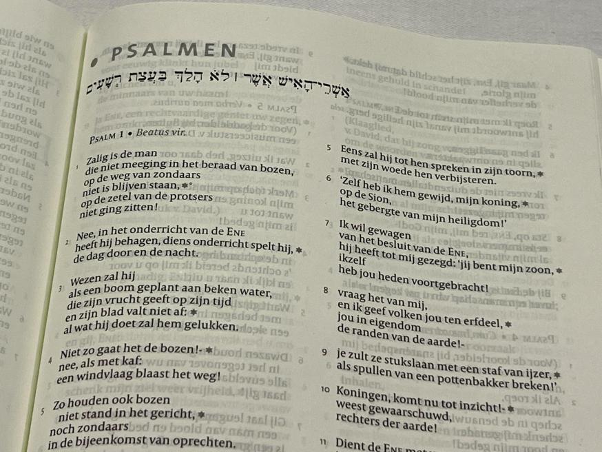 Psalmen uit de Bijbel © Chris De Groote